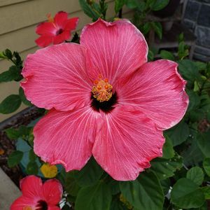 Meet your Posher, Tina